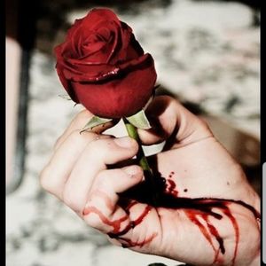 Meet your Posher, Baruchqui